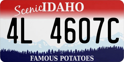 ID license plate 4L4607C