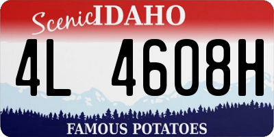 ID license plate 4L4608H