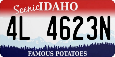 ID license plate 4L4623N