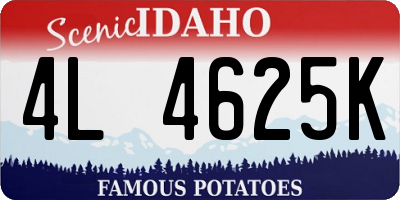 ID license plate 4L4625K