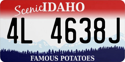 ID license plate 4L4638J