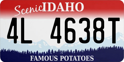 ID license plate 4L4638T