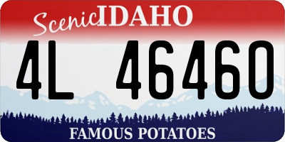 ID license plate 4L4646O