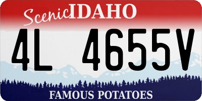 ID license plate 4L4655V
