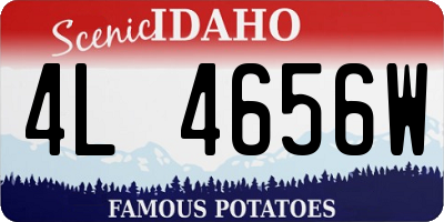 ID license plate 4L4656W