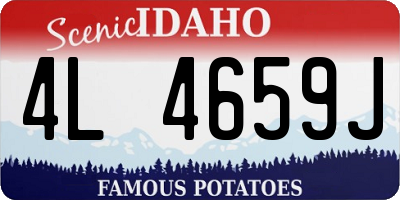 ID license plate 4L4659J