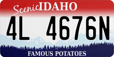 ID license plate 4L4676N