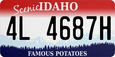 ID license plate 4L4687H