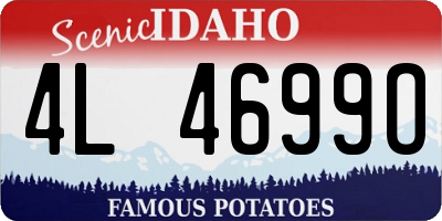 ID license plate 4L4699O
