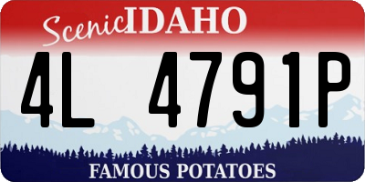 ID license plate 4L4791P