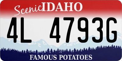 ID license plate 4L4793G