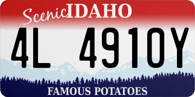 ID license plate 4L4910Y