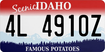 ID license plate 4L4910Z