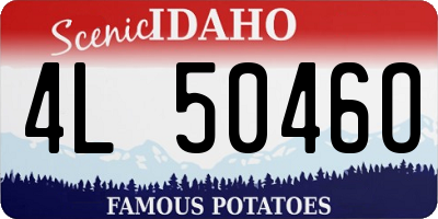 ID license plate 4L5046O