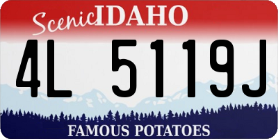 ID license plate 4L5119J