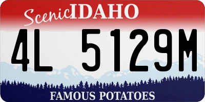 ID license plate 4L5129M
