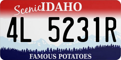 ID license plate 4L5231R