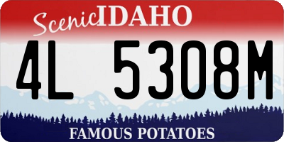 ID license plate 4L5308M