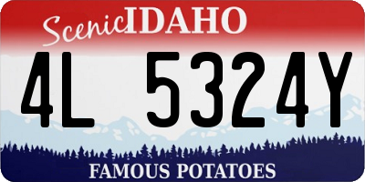 ID license plate 4L5324Y