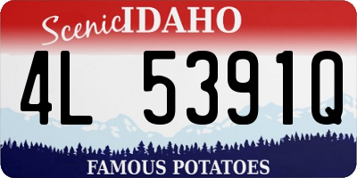 ID license plate 4L5391Q
