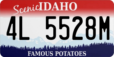 ID license plate 4L5528M