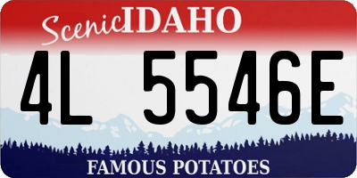 ID license plate 4L5546E