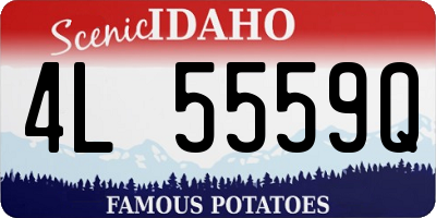 ID license plate 4L5559Q