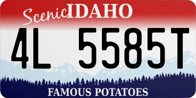 ID license plate 4L5585T