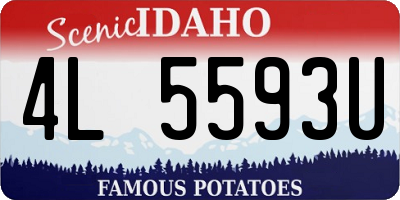 ID license plate 4L5593U