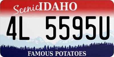 ID license plate 4L5595U