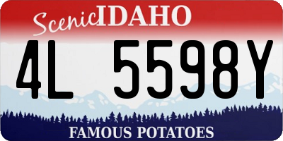 ID license plate 4L5598Y
