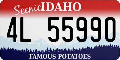 ID license plate 4L5599O