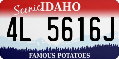 ID license plate 4L5616J