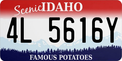 ID license plate 4L5616Y