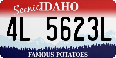 ID license plate 4L5623L