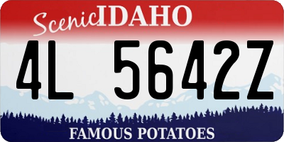 ID license plate 4L5642Z