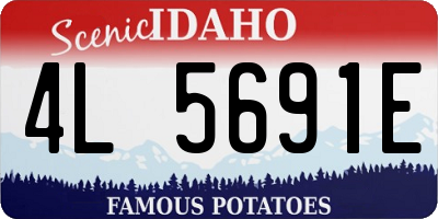ID license plate 4L5691E