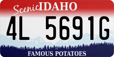 ID license plate 4L5691G