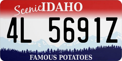 ID license plate 4L5691Z