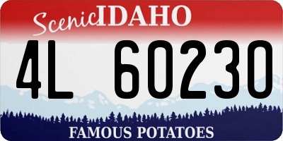 ID license plate 4L6023O