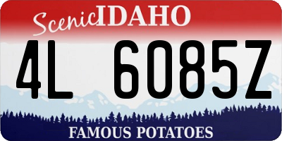 ID license plate 4L6085Z