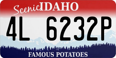 ID license plate 4L6232P