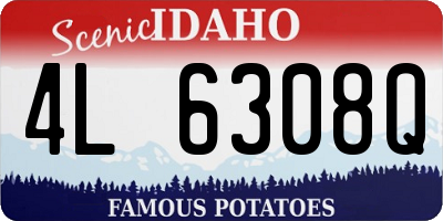 ID license plate 4L6308Q