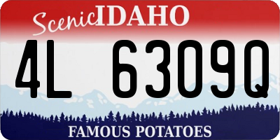 ID license plate 4L6309Q