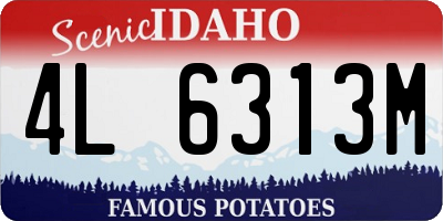 ID license plate 4L6313M
