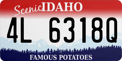 ID license plate 4L6318Q