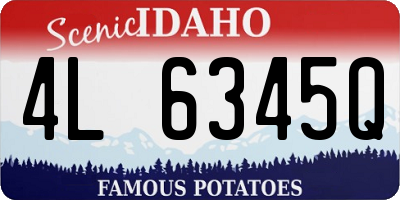 ID license plate 4L6345Q