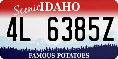 ID license plate 4L6385Z