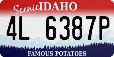 ID license plate 4L6387P