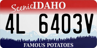 ID license plate 4L6403V